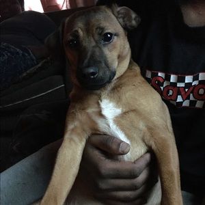 Meet your Posher, Alexia